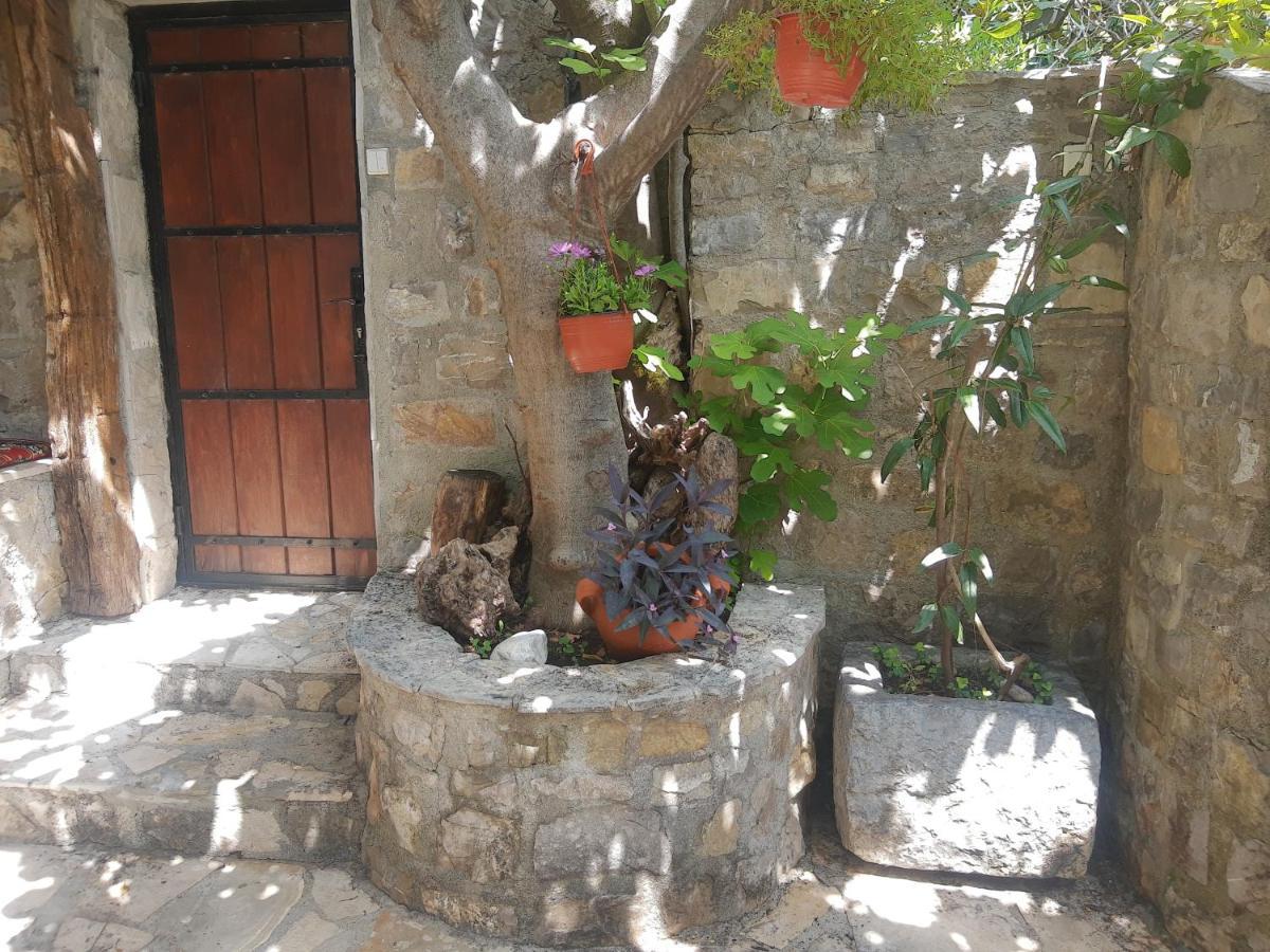 Sea-Side Old Stone Villa With A Private Garden บุดวา ภายนอก รูปภาพ
