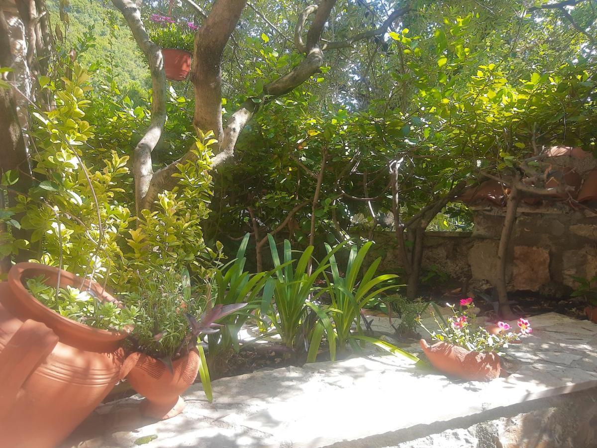 Sea-Side Old Stone Villa With A Private Garden บุดวา ภายนอก รูปภาพ