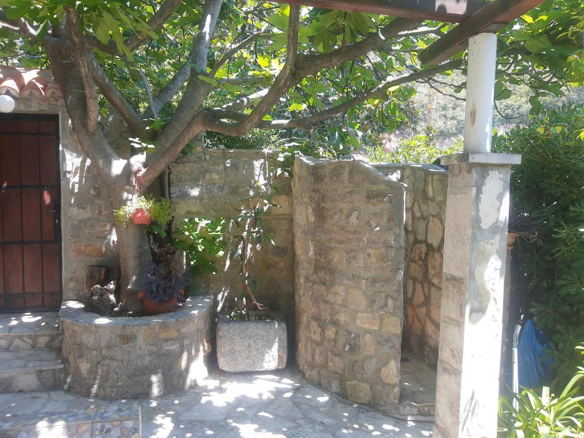 Sea-Side Old Stone Villa With A Private Garden บุดวา ภายนอก รูปภาพ