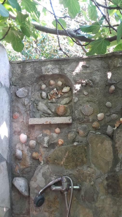 Sea-Side Old Stone Villa With A Private Garden บุดวา ภายนอก รูปภาพ